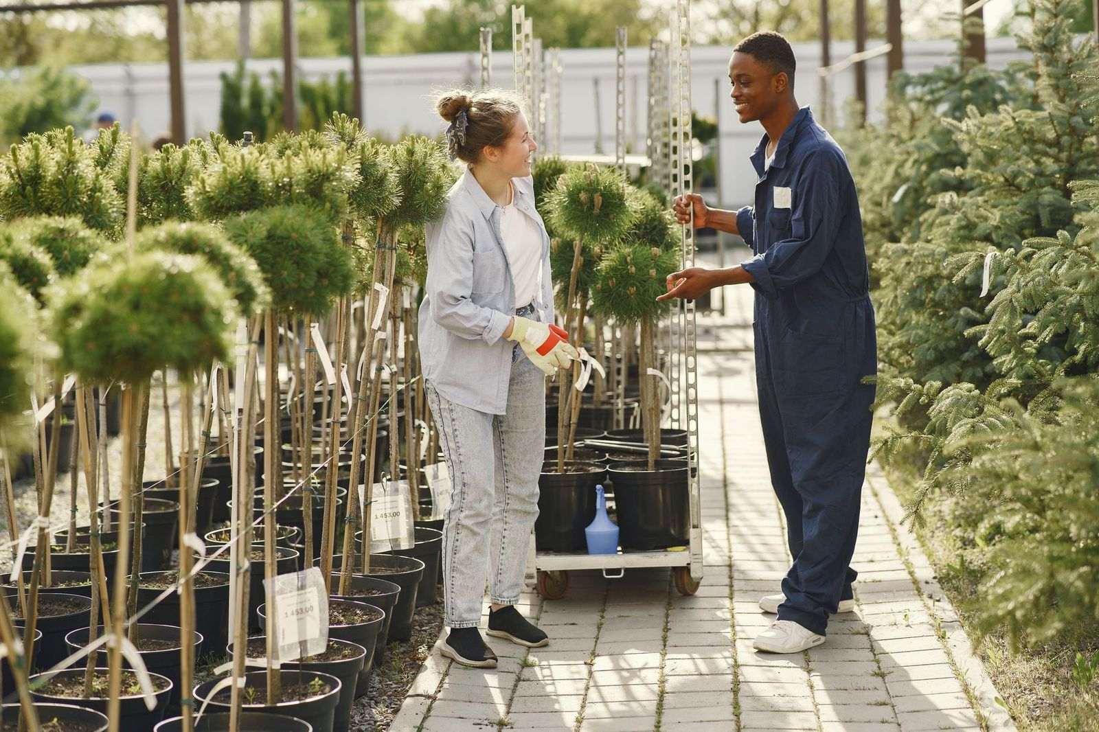 Professional landscaping business office and service coordination