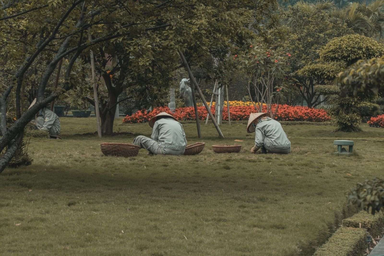 Professional landscaping team collaboration and expertise